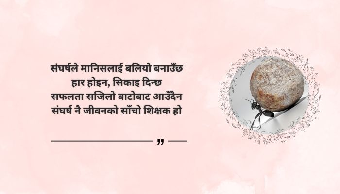 Best Struggle Quotes in Nepali
